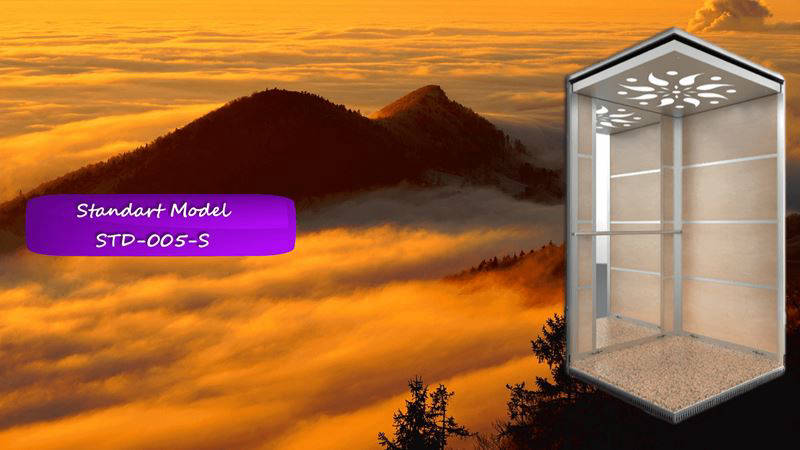 Standart Asansör Kabini STD-005-S Pendik İstanbul Türkiye